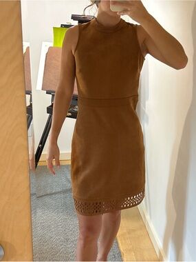 Ann Taylor Suede Dress 00P